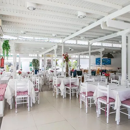Livvo Gaviotas Appartement Puerto del Carmen (Lanzarote)