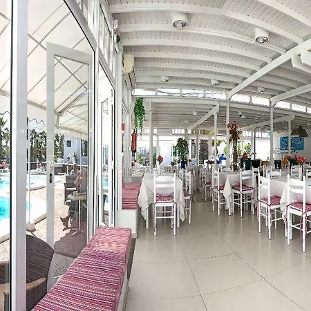 Livvo Gaviotas * Puerto del Carmen (Lanzarote)